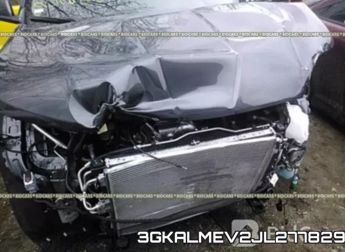 3GKALMEV2JL277829_6.webp