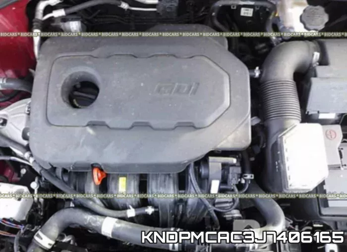 KNDPMCAC3J7406165