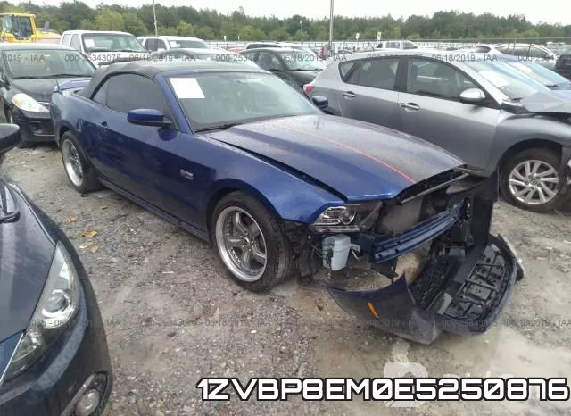 1ZVBP8EM0E5250876
