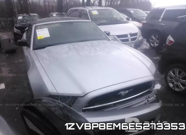1ZVBP8EM6E5273353