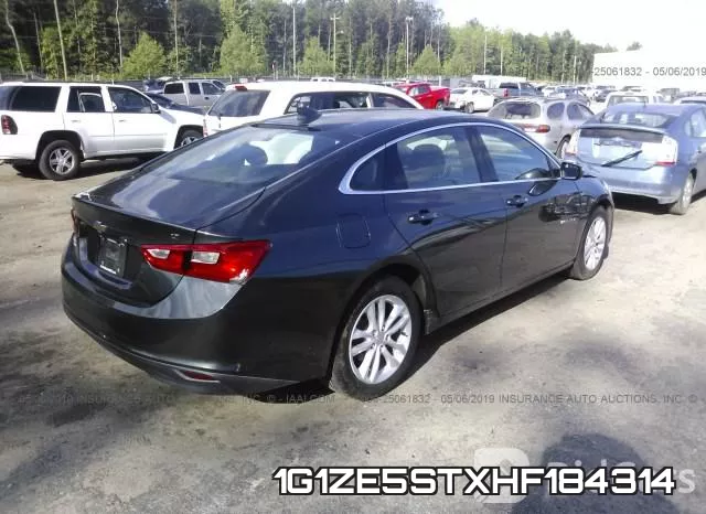1G1ZE5STXHF184314_4.webp