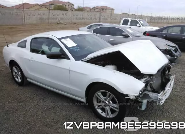 1ZVBP8AM8E5299698