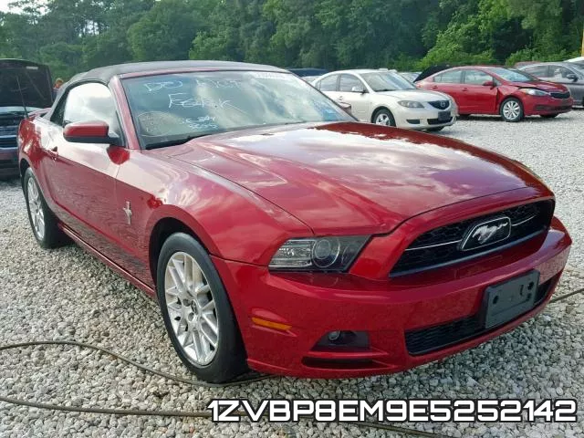1ZVBP8EM9E5252142
