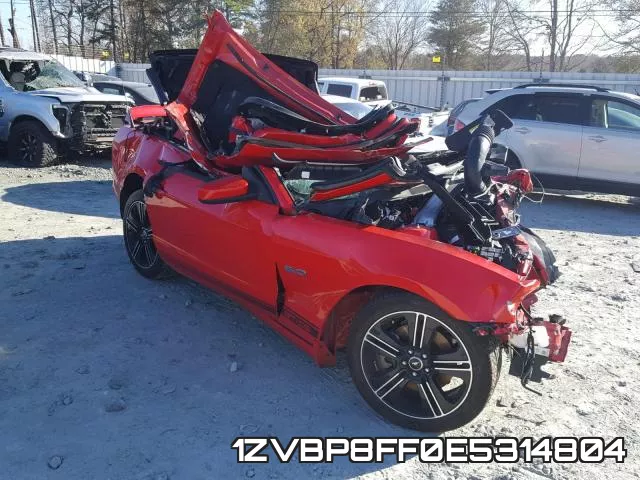 1ZVBP8FF0E5314804