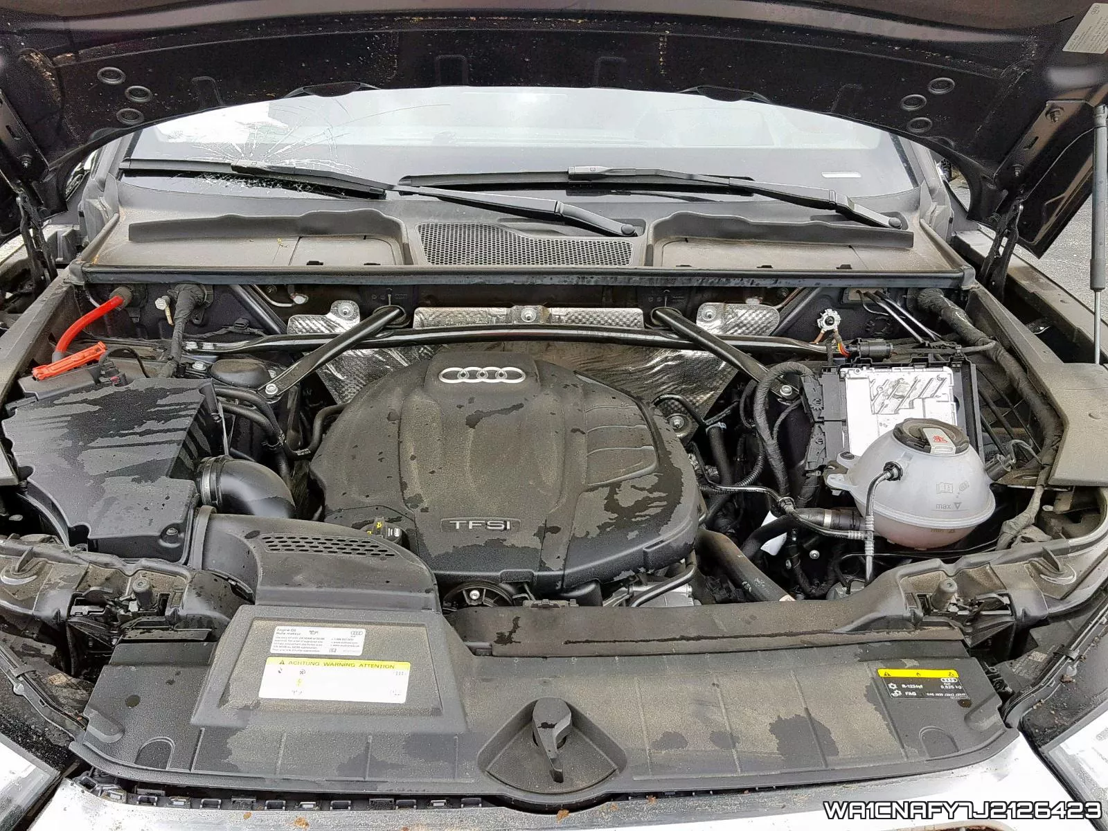 WA1CNAFY7J2126423_7.webp