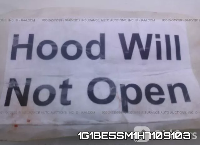 1G1BE5SM1H7109103_10.webp