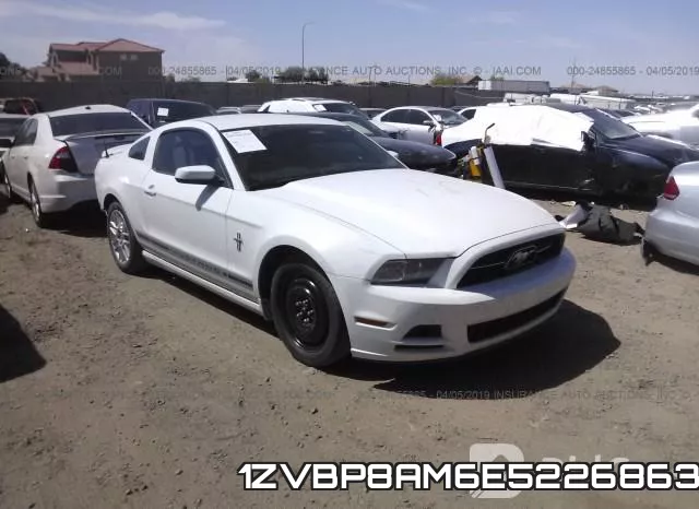 1ZVBP8AM6E5226863