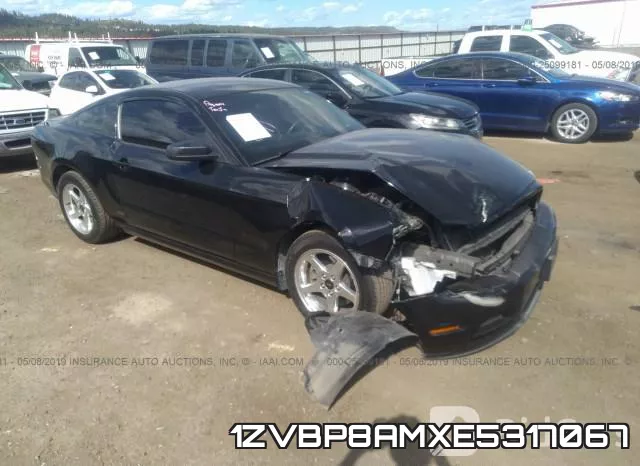 1ZVBP8AMXE5317067