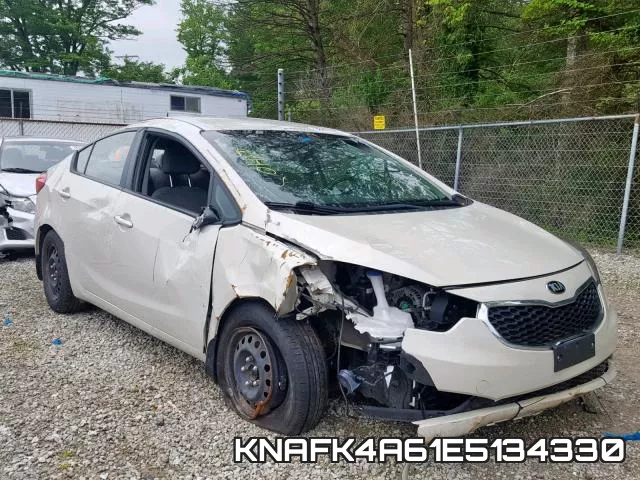 KNAFK4A61E5134330