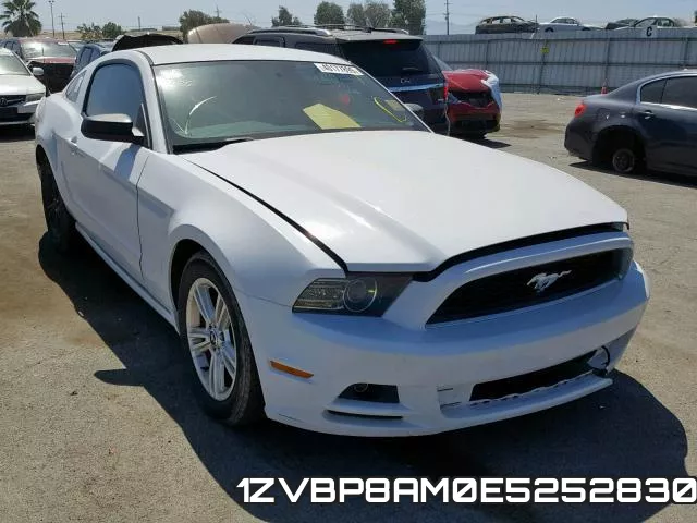 1ZVBP8AM0E5252830