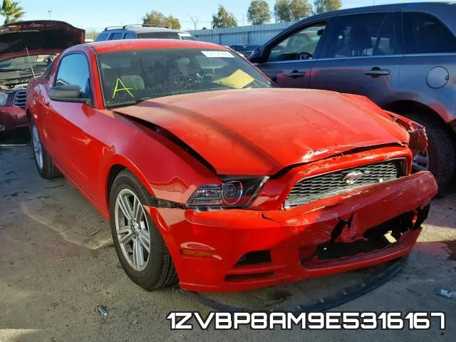 1ZVBP8AM9E5316167