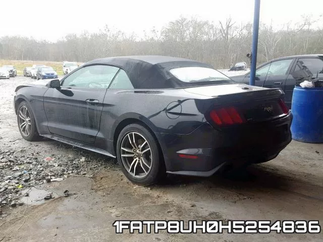 1FATP8UH0H5254836_3.webp
