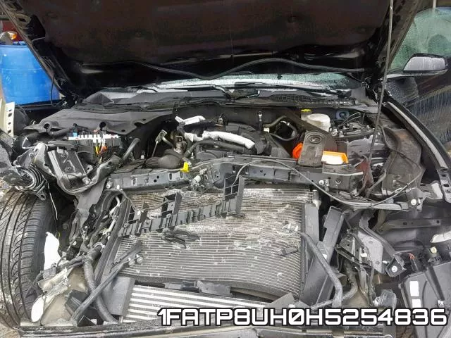 1FATP8UH0H5254836_7.webp