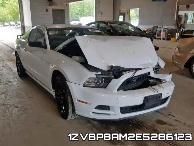 1ZVBP8AM2E5286123
