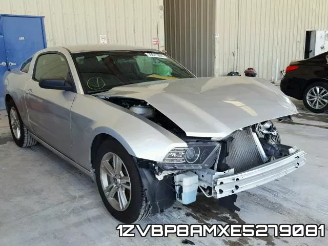 1ZVBP8AMXE5279081