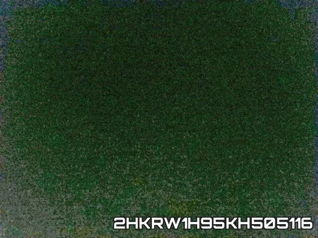 2HKRW1H95KH505116_1.webp