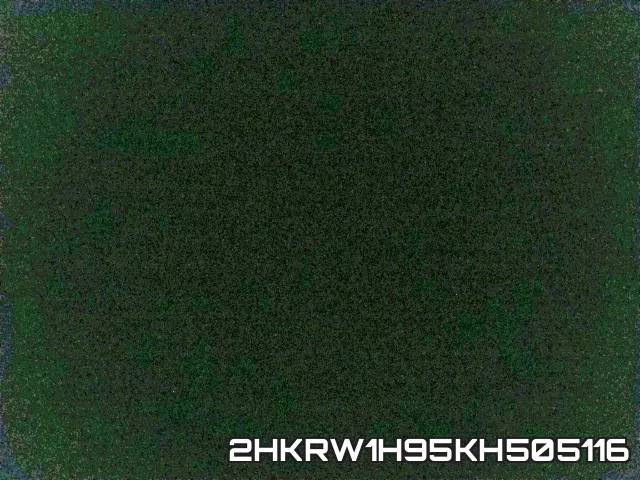 2HKRW1H95KH505116_10.webp