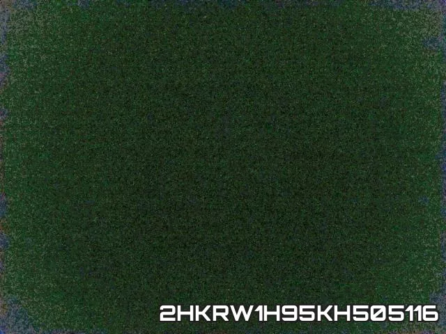 2HKRW1H95KH505116_2.webp