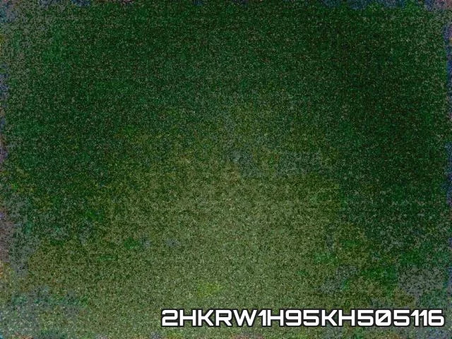 2HKRW1H95KH505116_3.webp