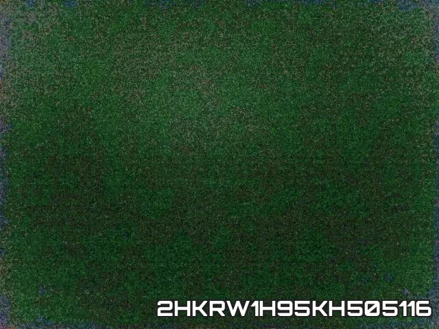 2HKRW1H95KH505116_4.webp