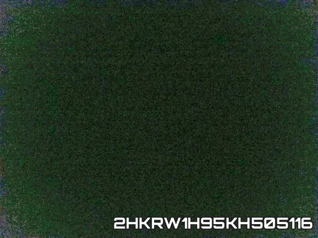 2HKRW1H95KH505116_9.webp