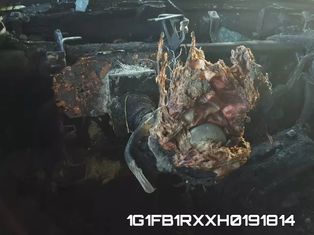 1G1FB1RXXH0191814_8.webp