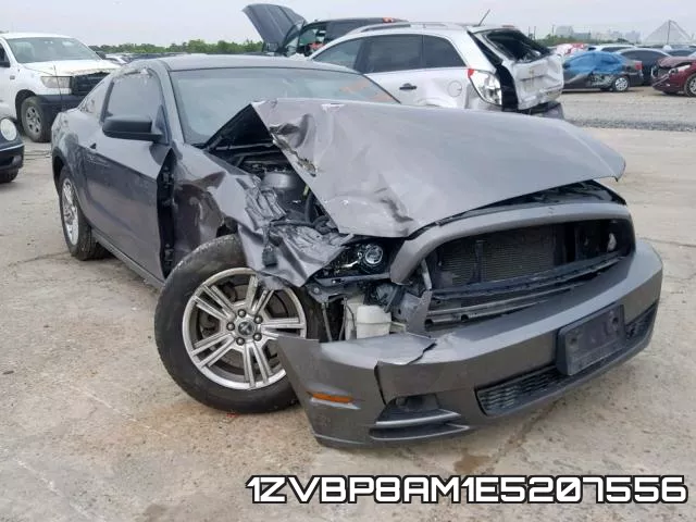 1ZVBP8AM1E5207556