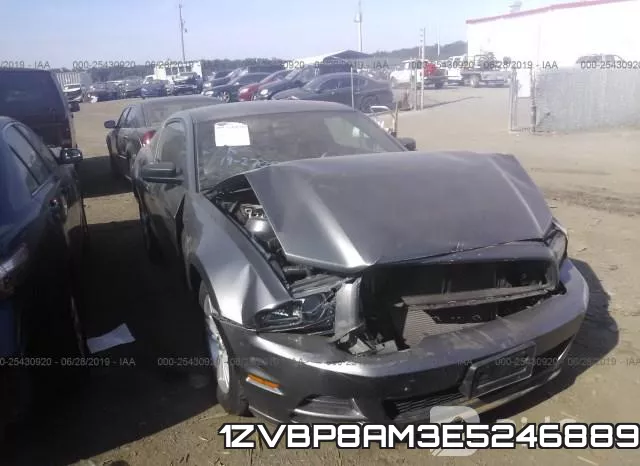 1ZVBP8AM3E5246889