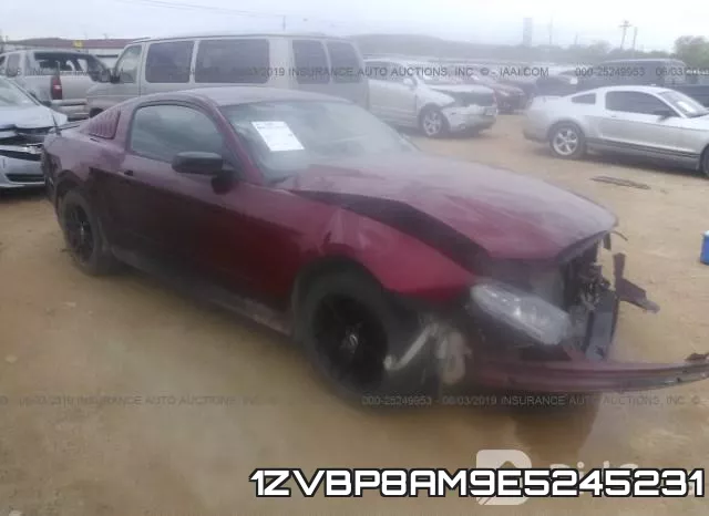 1ZVBP8AM9E5245231