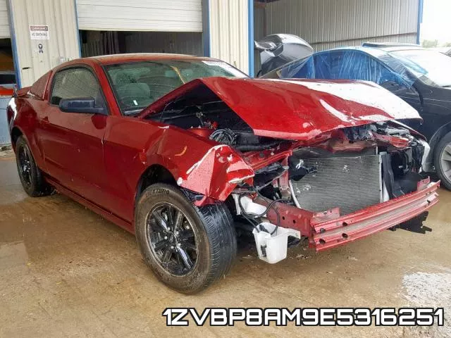 1ZVBP8AM9E5316251
