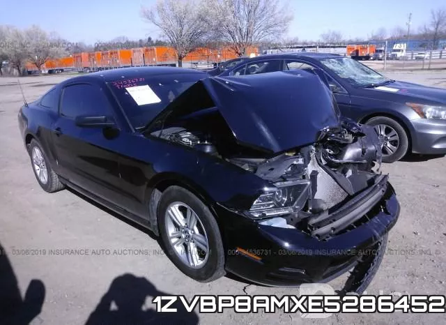 1ZVBP8AMXE5286452