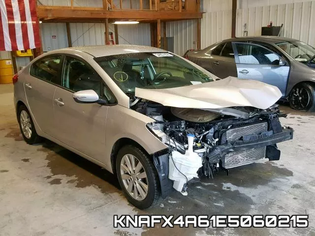 KNAFX4A61E5060215
