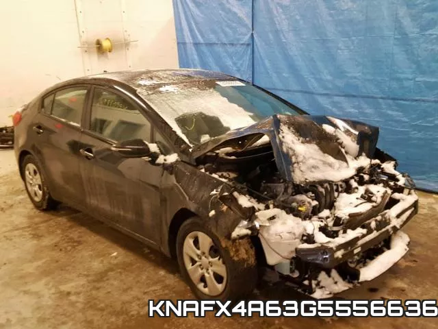 KNAFX4A63G5556636