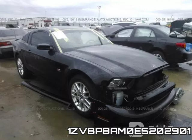 1ZVBP8AM0E5202901