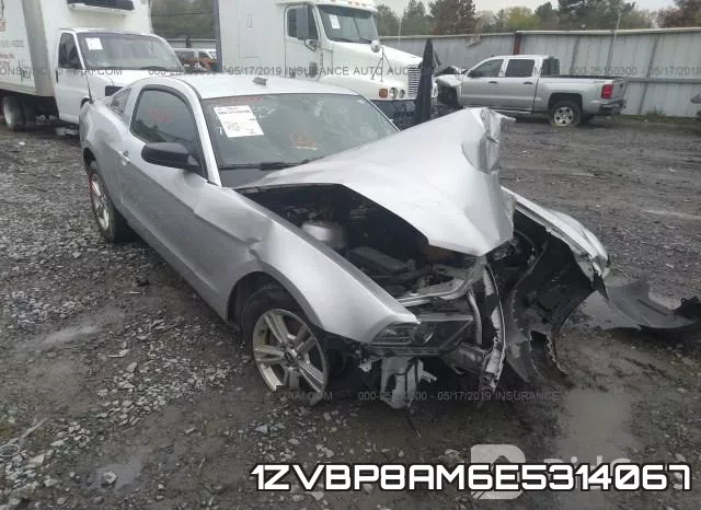1ZVBP8AM6E5314067