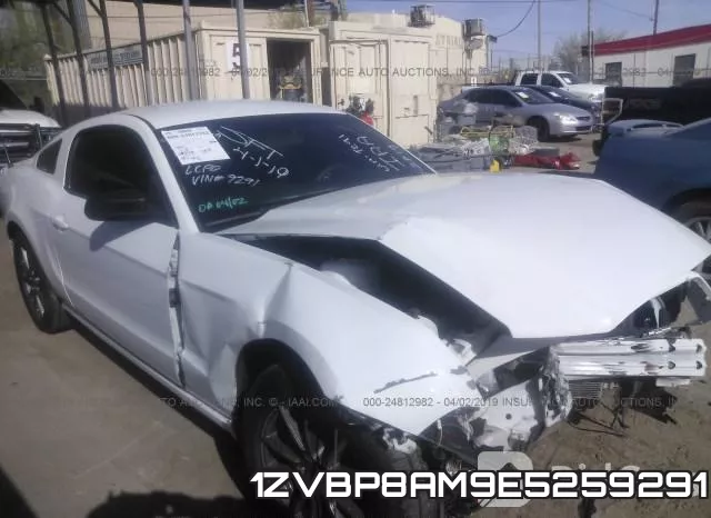 1ZVBP8AM9E5259291