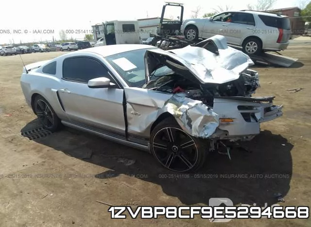 1ZVBP8CF9E5294668