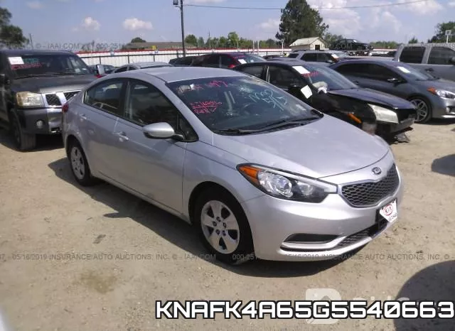 KNAFK4A65G5540663