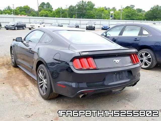 1FA6P8TH1H5255802_3.webp