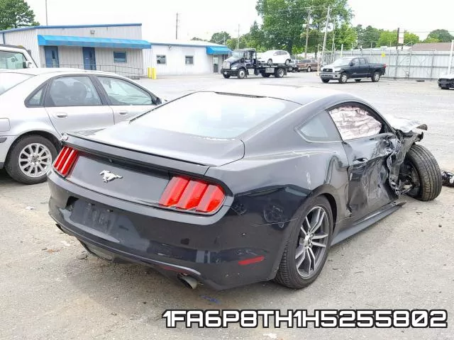 1FA6P8TH1H5255802_4.webp
