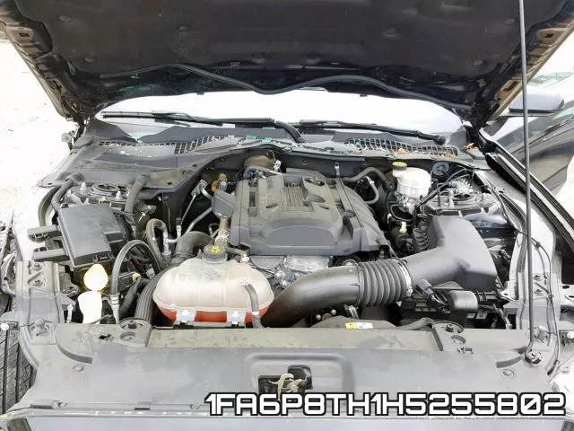1FA6P8TH1H5255802_7.webp