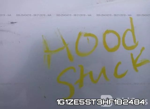 1G1ZE5ST3HF182484_10.webp