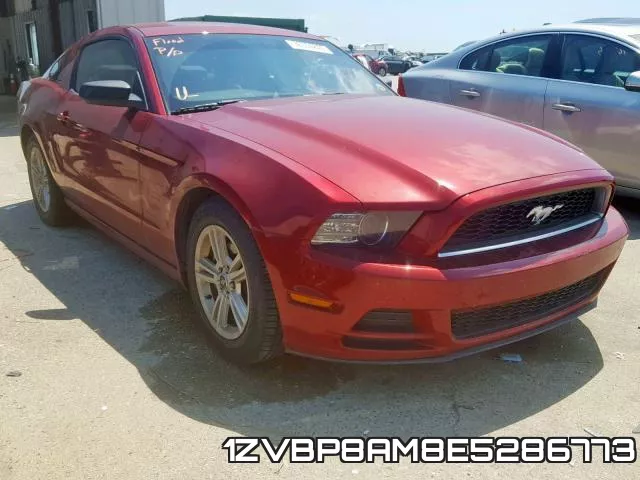 1ZVBP8AM8E5286773
