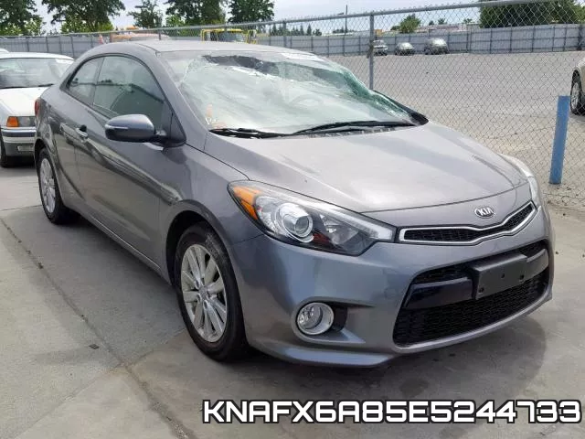 KNAFX6A85E5244733