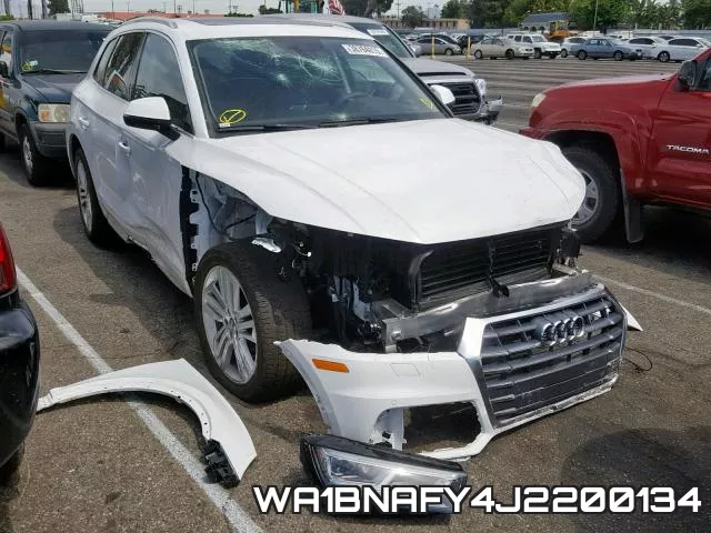 WA1BNAFY4J2200134_1.webp