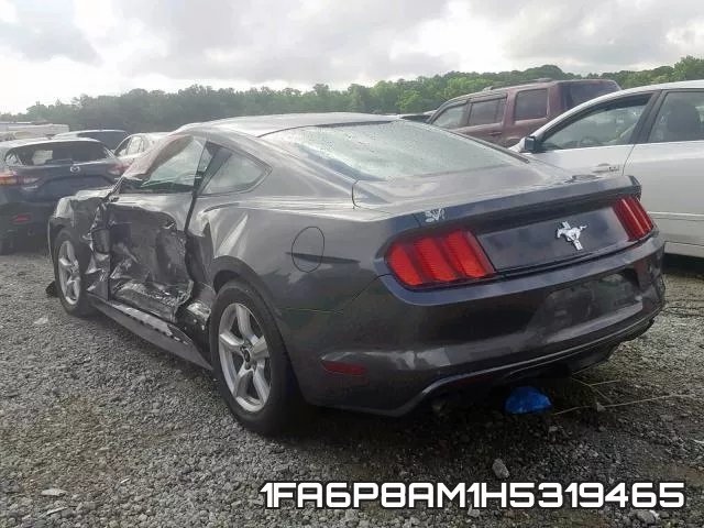 1FA6P8AM1H5319465_3.webp