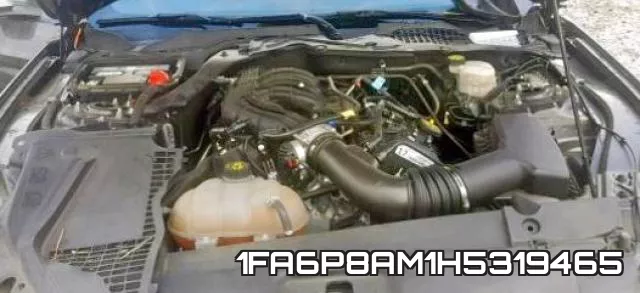 1FA6P8AM1H5319465_7.webp