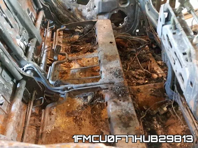 1FMCU0F77HUB29813_6.webp
