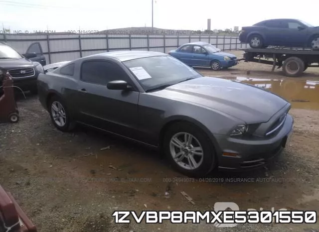 1ZVBP8AMXE5301550
