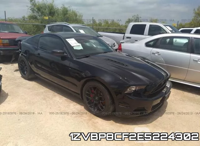 1ZVBP8CF2E5224302